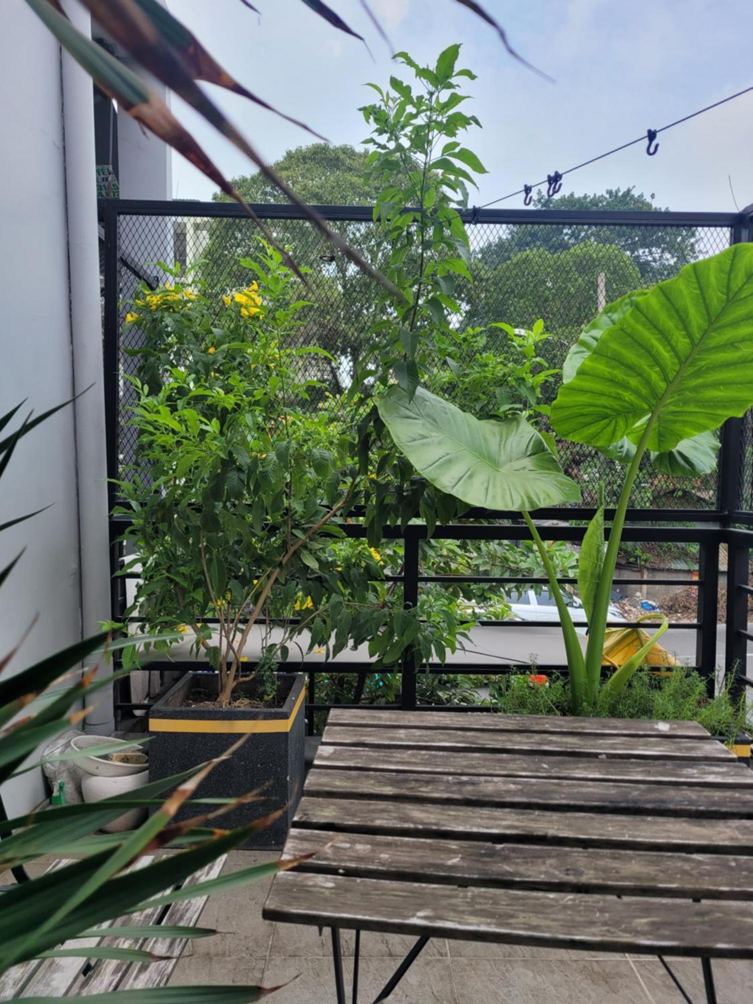 Agk House - Homestay - 406 Xo Viet Nghe Tinh, P25, Binh Thanh, Gan Nga 4 Hang Xanh Ho Si Minh-város Kültér fotó